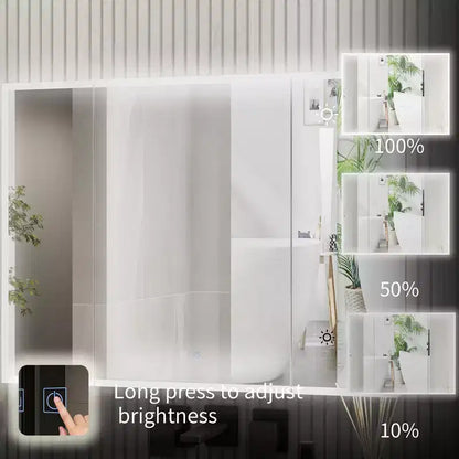 Armoire de toilette à LED avec fonction antibuée, éclairage réglable et grand espace de rangement pour salle de bain